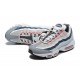 Nike Air Max 95 TT Rouge Stardust DM0011-008 Chaussure Homme