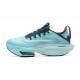 Nike Air Zoom Alphafly Next 2 Bleu Chaussure Homme