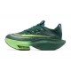 Nike Air Zoom Alphafly Next 2 Vert Chaussure Homme