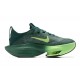 Nike Air Zoom Alphafly Next 2 Vert Chaussure Homme