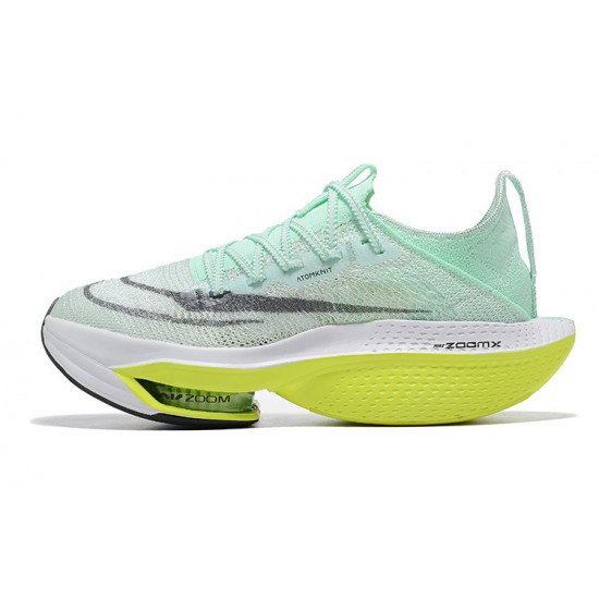 Nike Air Zoom Alphafly Next 2 Vert Chaussure Femme/Homme